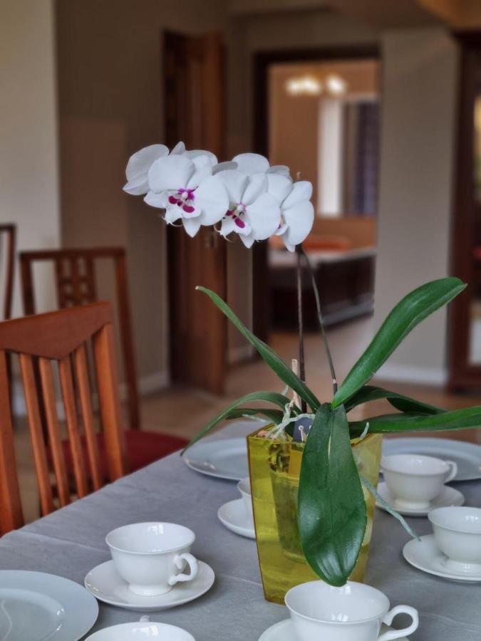 Almaty Apartment 76 מראה חיצוני תמונה